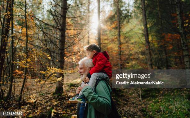 taking my grandson on a hike - carrying-a-person-on-shoulders stock pictures, royalty-free photos & images