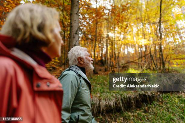 la coppia di anziani si gode una giornata autunnale - coppia bosco romantico foto e immagini stock