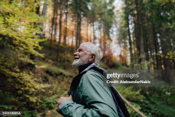 disfrutando de mis años dorados - hombres-mayores fotografías e imágenes de stock