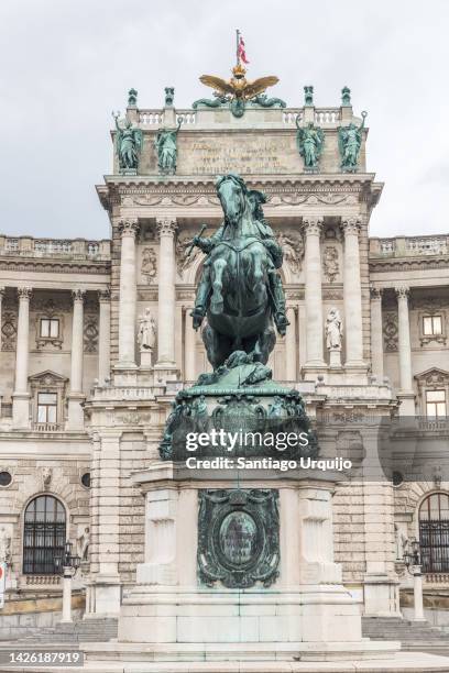 statue of prince eugene of savoy and austrian national library - horse front view stock pictures, royalty-free photos & images