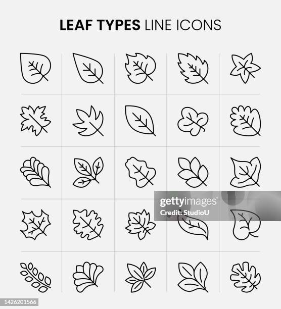 leaf types line icons - november garden stock illustrations