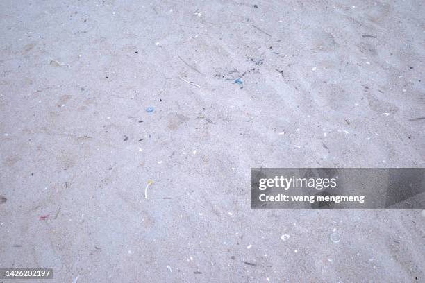 dirty beach - torn garbage bag stock pictures, royalty-free photos & images