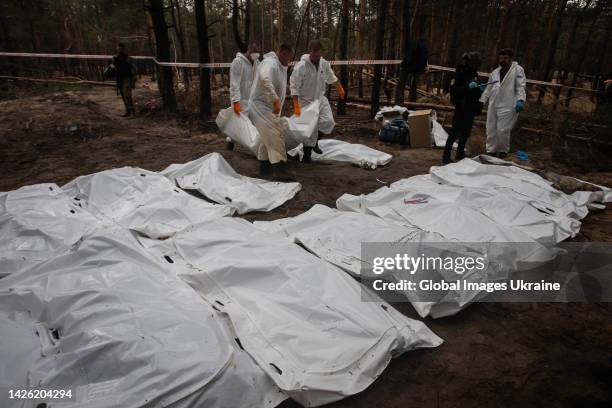 Forensic technicians carry a white body bag at the site of a mass burial in a forest during exhumation on September 16, 2022 in Izium, Ukraine....