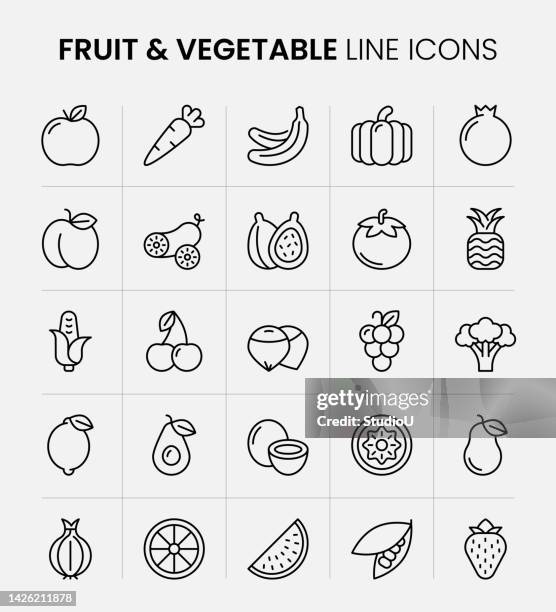 fruit and vegetable line icons - hazelnut stock illustrations