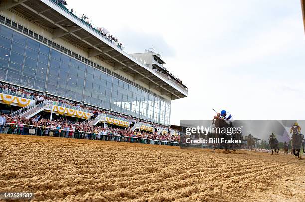 Preakness Stakes: Jesus Castanon in action aboard Shackleford , John Velazquez in action aboard Animal Kingdom , and Mike Smith in action aboard...