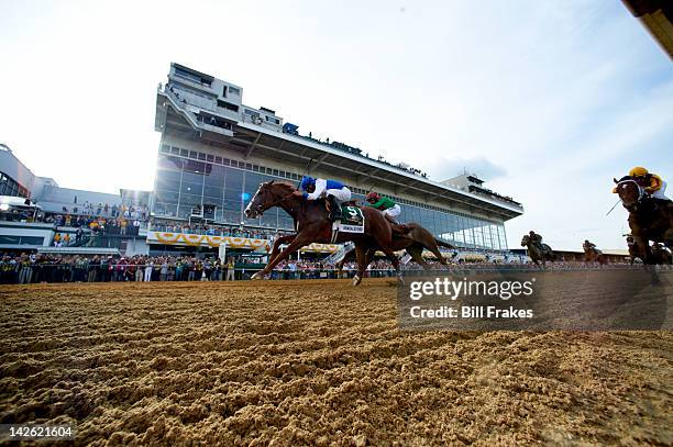 Preakness Stakes: Jesus Castanon in action aboard Shackleford , John Velazquez in action aboard Animal Kingdom , and Mike Smith in action aboard...