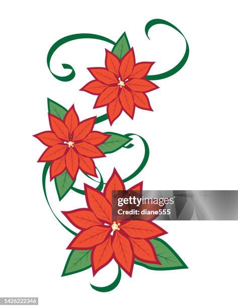 ilustrações de stock, clip art, desenhos animados e ícones de christmas poinsettia ornament on a transparent background - bico de papagaio