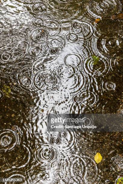 rain drops falling on a puddle - splashed water leaf stock-fotos und bilder