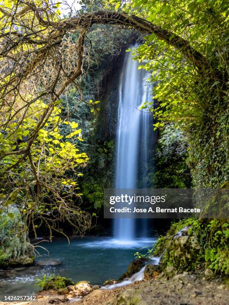 mountain landscape with a river and a large waterfall. - rivier gras oever stockfoto's en -beelden