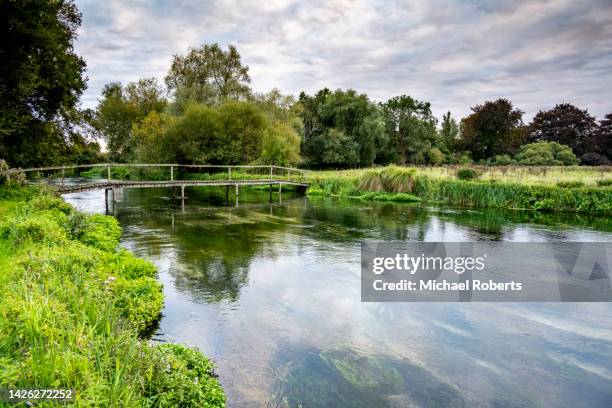 a trout fishing stretch of the chalkstream river itchen near twyford, hampshire - carbonato di calcio foto e immagini stock