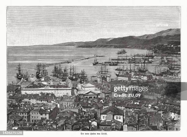 new harbor (punto franco nuovo), trieste, wood engraving, published 1885 - nuovo stock illustrations