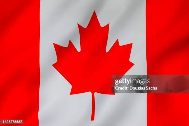 canada national flag - bandiera del canada foto e immagini stock