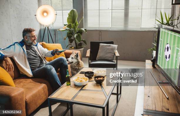 watching soccer game at home - man watching tv with dog stock pictures, royalty-free photos & images
