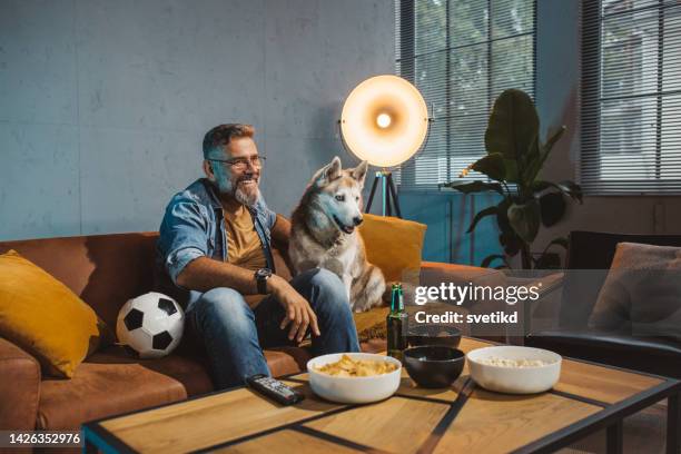watching soccer game at home - man watching tv with dog stock pictures, royalty-free photos & images