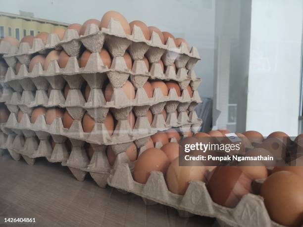 Eggshell Paper Photos and Premium High Res Pictures - Getty Images