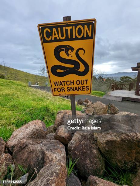 M R Snakes. Sign Snake Warning Sign Photos and Premium High Res Pictures - Getty Images