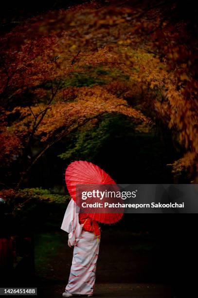 morning wild - geisha japan bildbanksfoton och bilder