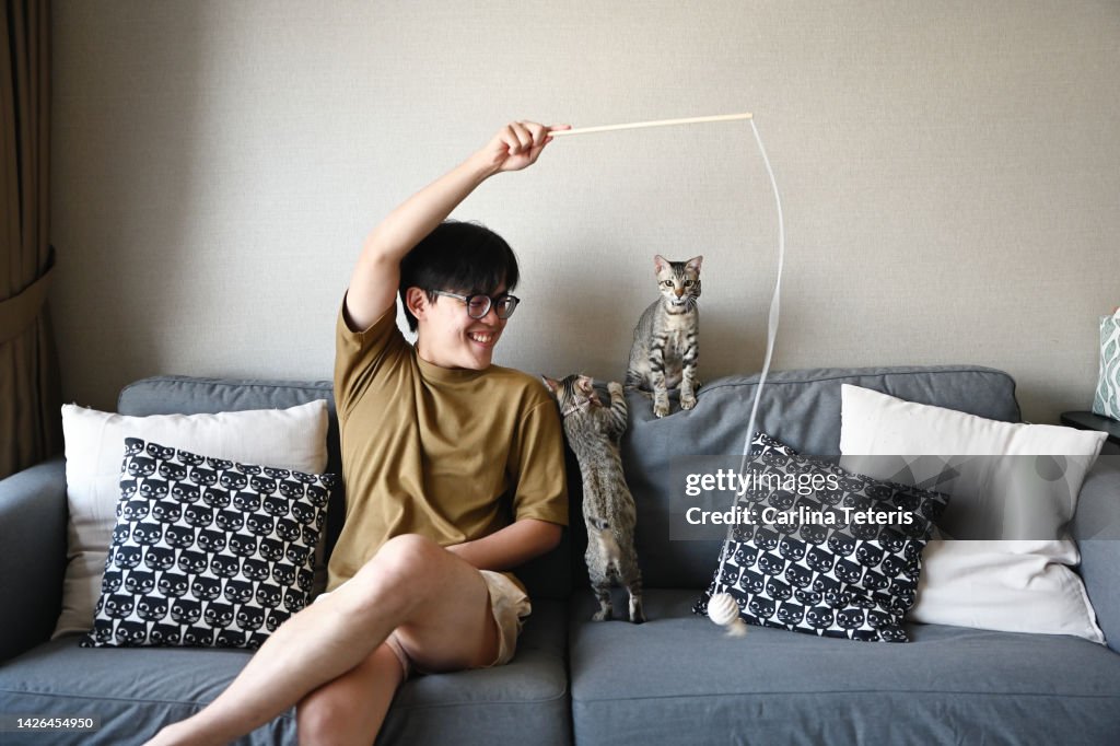 Chinese man playing with his kittens on the sofa