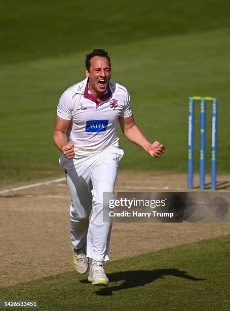 Josh Davey of Somerset celebrates the wicket of Josh Cobb of Northamptonshire during Day Four of the LV= Insurance County Championship match between...