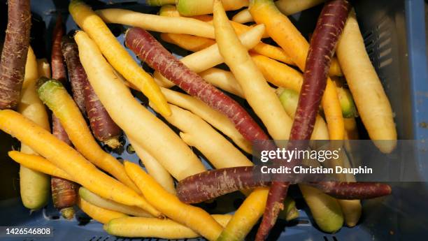 unpackaged red and black carrots - flexible packaging stock pictures, royalty-free photos & images