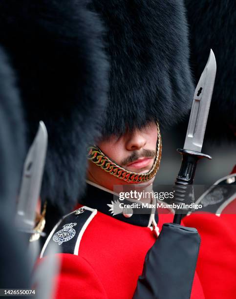 George Rochfort Rae Grenadier 72 King George Vi Epaulettes Stock Photos, High-Res Pictures, and ...
