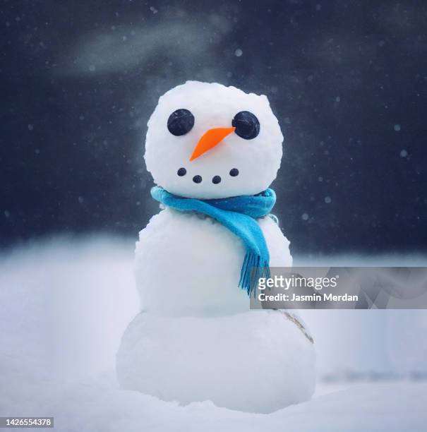 snowman - pupazzo di neve foto e immagini stock