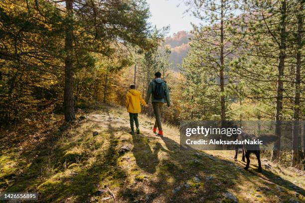 forest walk with my dad - dog hiking stock pictures, royalty-free photos & images