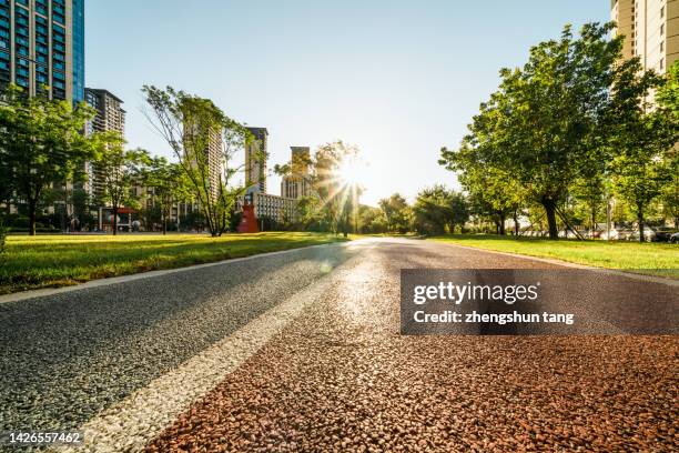 walkway in the park at sunrise. - low angle view road stock pictures, royalty-free photos & images