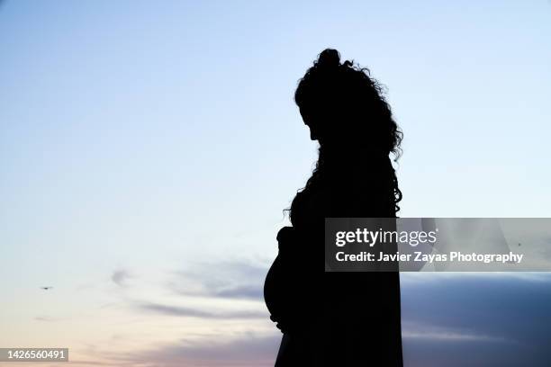 pregnant latin woman silhouette standing against sky - surrogacy stock pictures, royalty-free photos & images