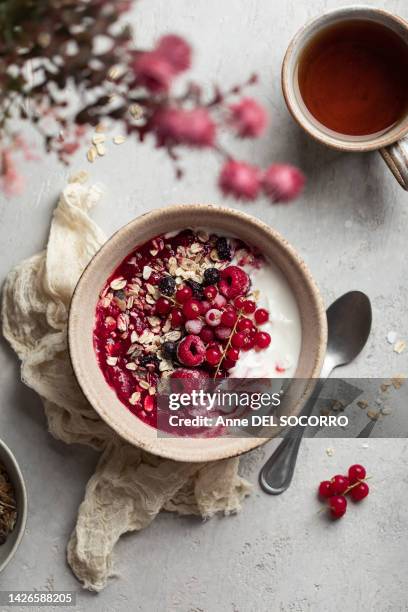 homemade breakfast muesli oat raspberries currant fruits and yogurt - bol et saladier photos et images de collection
