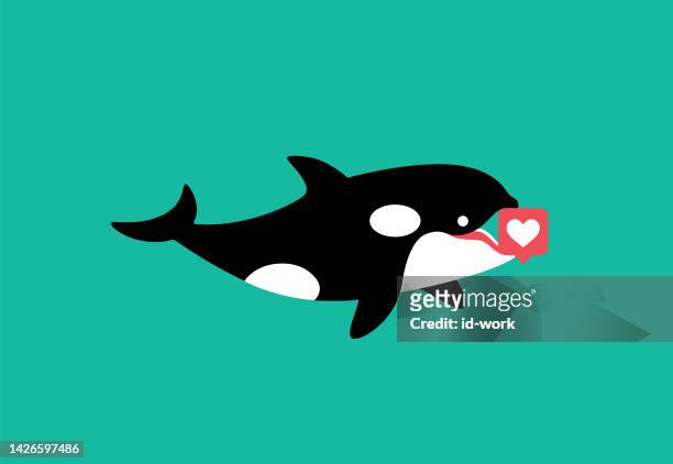 ilustrações, clipart, desenhos animados e ícones de orca alegre segurando como ícone - killer whale