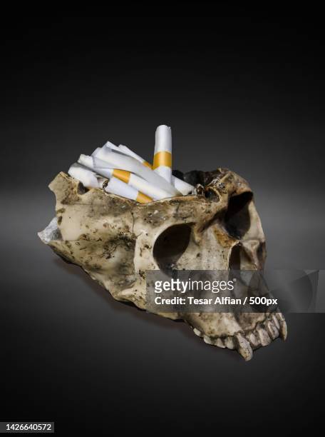 cigarette smoke black cancer,lung disease,the dangers of smoking,jakarta,indonesia - smoking death stock pictures, royalty-free photos & images