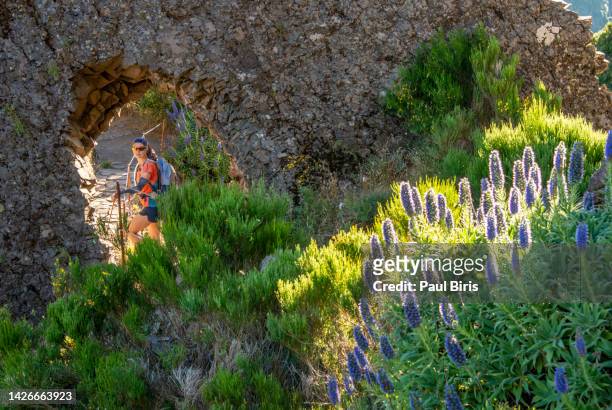 woman hiker doing her hike of pico arieiro to pico ruivo hiking route. madeira island, portugal. - azores people stock pictures, royalty-free photos & images