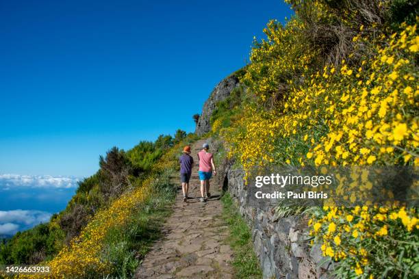 a young mother with her son hiking on pr 1.2 vereda do pico ruivo from  achadas teixeira start point - madeira flowers stock-fotos und bilder