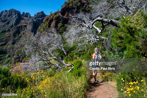 young woman enjoying the great outdoors on madeira island. pr1 the hike from pico do arieiro to pico ruivo - pico do arieiro fotografías e imágenes de stock