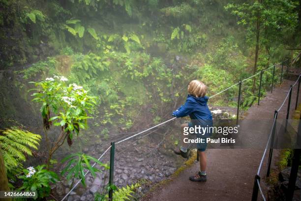 lonely boy in a rainy day on the trekking trail on the cliffs at levada do caldeirao verde, queimadas, madeira, portugal - madeira portugal stock pictures, royalty-free photos & images