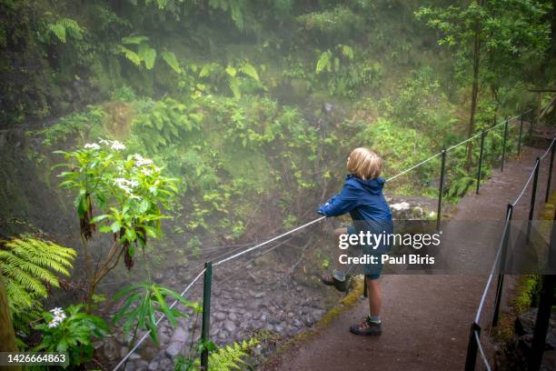 lonely boy in a rainy day on the trekking trail on the cliffs at levada do caldeirao verde, queimadas, madeira, portugal - ilhas da madeira imagens e fotografias de stock