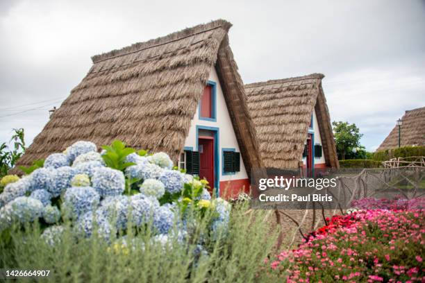 traditional cottage in santana madeira, portugal - island imagens e fotografias de stock