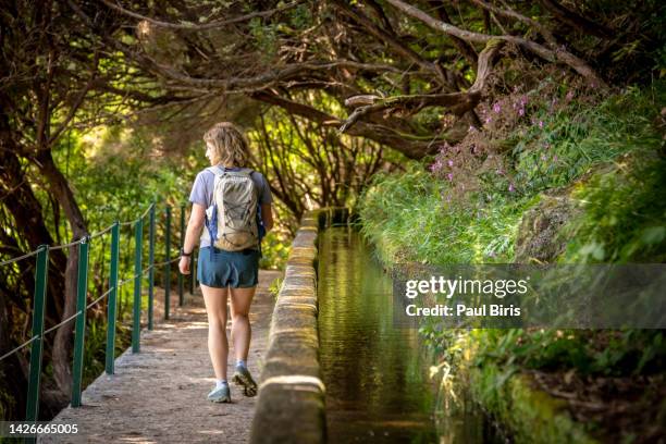 woman hiking along a levada in madeira island portuga.  pr6 levada das 25 fontes / levada do risco - madeira portugal imagens e fotografias de stock
