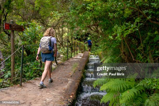 levada das 25 fontes and levada do risco walkways with luscious flowers on madeira island during a beautiful summer day. pr6 levada - paul wood stock pictures, royalty-free photos & images