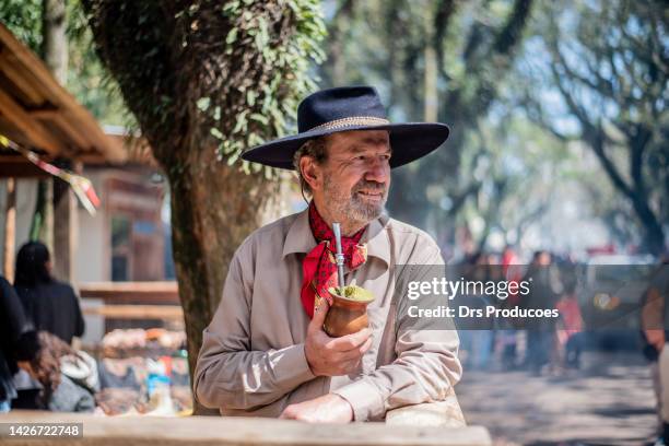 portrait of a gaucho at the farroupilha camp - rio grande do sul stock pictures, royalty-free photos & images