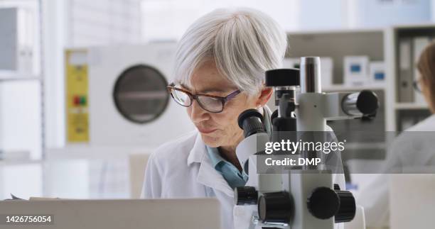 science, innovation and research with woman scientist testing and experiment with microbiology in a laboratory. mature healthcare expert doing drug trial analysis on treatment and medical products - drug testing lab stock pictures, royalty-free photos & images