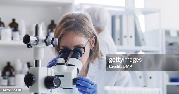 woman, microscope or laboratory study for covid vaccine, future medicine or healthcare wellness. doctor, dna engineer or medical research scientist in cancer science analytics or insurance innovation - dengue 個照片及圖片檔