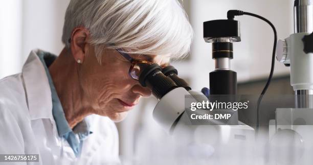 senior scientist woman, work in lab with microscope study data or do analysis of bacteria. elderly lady working in medical research laboratory, use science technology to learn germ or virus biology - doctor lab coat stockfoto's en -beelden