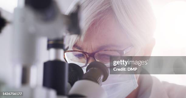 covid research, microscope and scientist woman looking at test sample for results, innovation or science laboratory with lens flare. professional expert doctor with glasses and equipment for analysis - portrait lens flare stock pictures, royalty-free photos & images