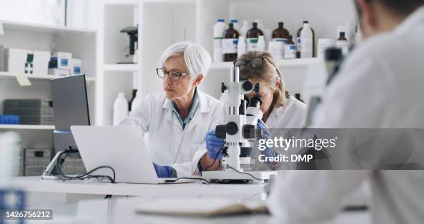 science research, teamwork and scientist people with technology, laptop and microscope for innovation, solution and analytics in laboratory. expert group women working on data report results at desk - choosing experiment stockfoto's en -beelden