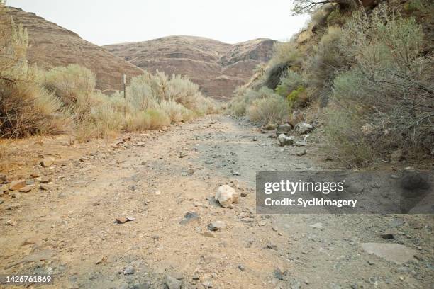 footpath - tumble weed stock pictures, royalty-free photos & images