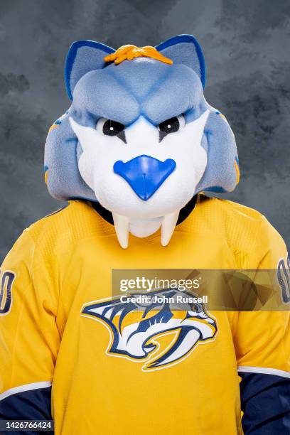 Preds Maskcot Mascot Gnash Photos and Premium High Res Pictures - Getty Images