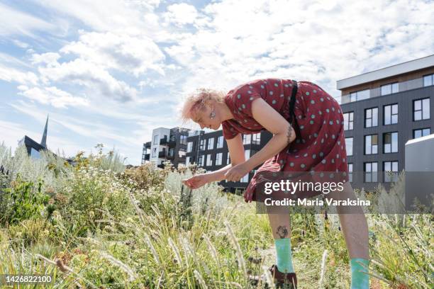 young woman in polka-dot dress picking up some plants on a meadow in from of a residential building - tallinn stock pictures, royalty-free photos & images