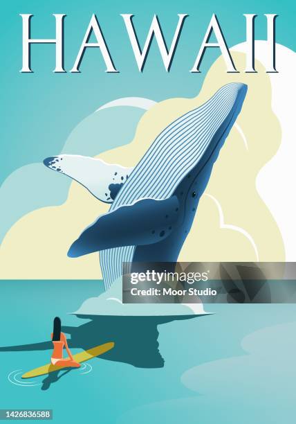 surfer girl meeting a whale ivector illustration - minke whale stock illustrations